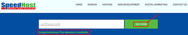 Buy Domain for Website