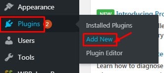 Plugin in WordPress